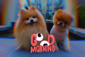 Good Morning Dog GIF by Ferhat Şaşkın
