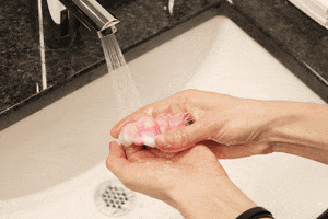 Wash Hands GIF