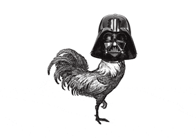 Starwars GIF by TINA - This Is Not America