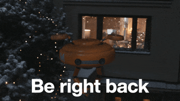 Christmas Flying GIF by Migros