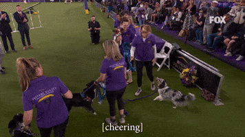 Westminster Dog Show Jump GIF by Westminster Kennel Club