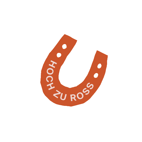 Horse Reiten Sticker by Gesäuse
