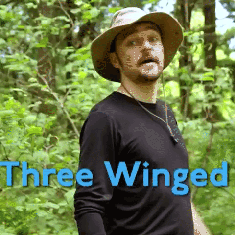 Wings Oregon GIF by Four Rest Films