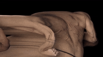 Skin Group GIF by tokyomegaplex