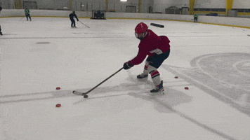 Skills Hockey Training GIF by Hockey Players Club