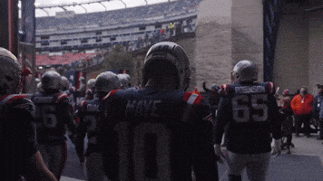 Football Nfl GIF by New England Patriots