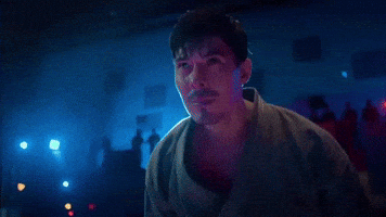 Cobra Kai GIF