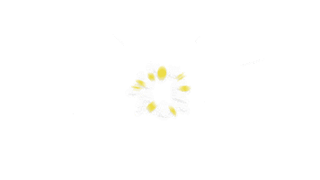 CNEC Sticker