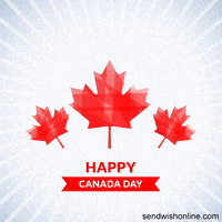Canadian-flag GIFs - Get the best GIF on GIPHY Canadian-flag GIFs - Get the best GIF on GIPHY