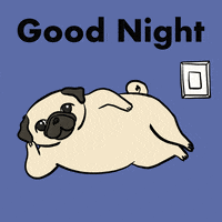 Dog-good-night GIFs - Get the best GIF on GIPHY