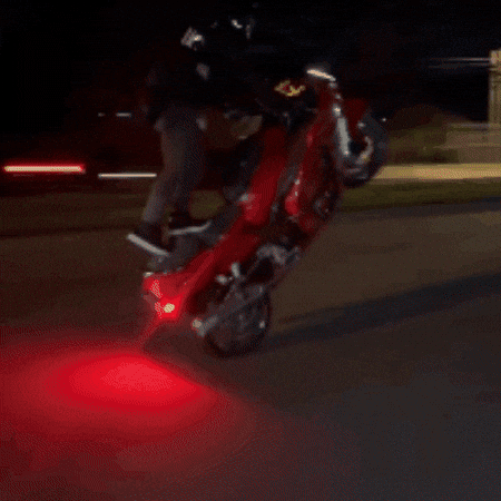 Bobbybusa GIF by Onlywheelies