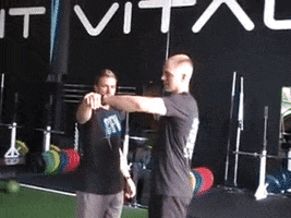 donsamraz  GIF