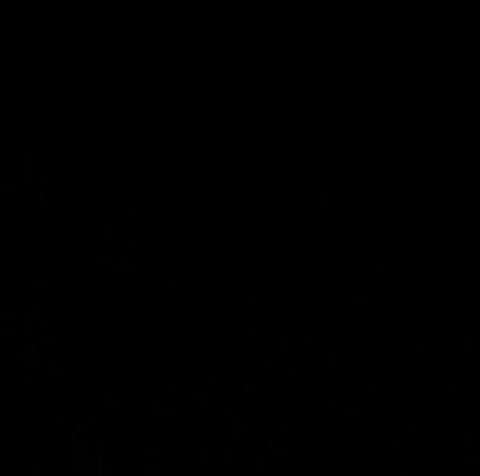 Bichette GIF