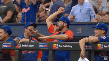Excited GIF by New York Mets