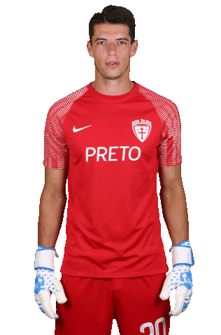 MŠK Žilina Sticker