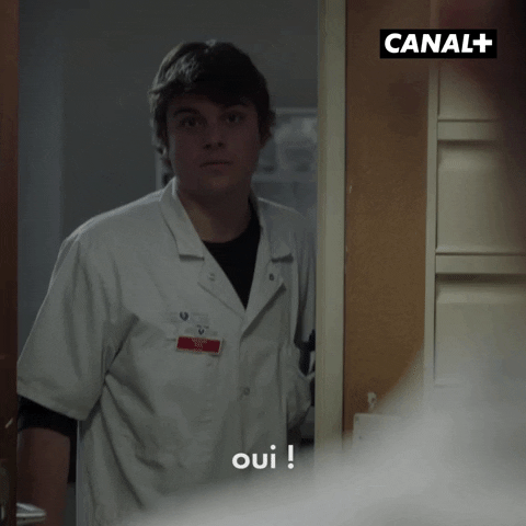 Canal Plus Ok GIF by CANAL+