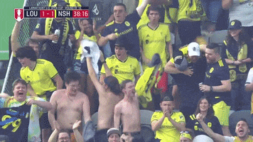 Fans Supporters GIF by Nashville SC