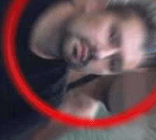 Kurdiska Räven GIF