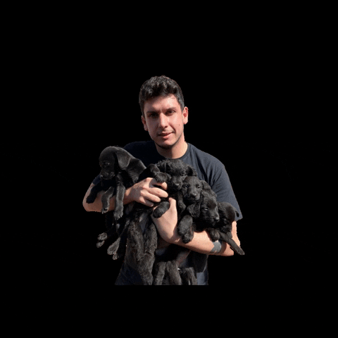 Rafael Saraiva GIF