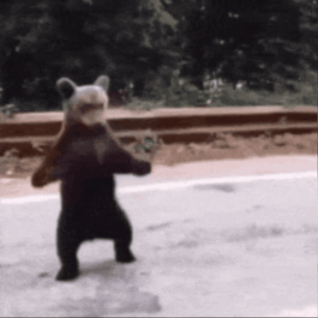 Eenvijfvijf GIF