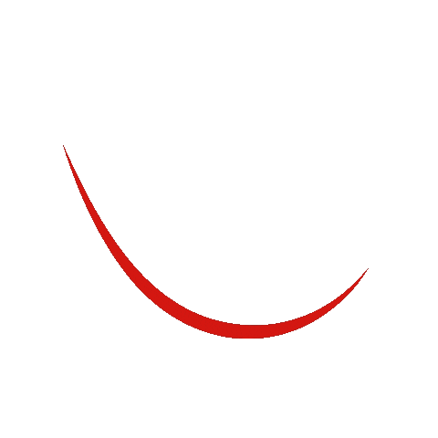 IbomRio Sticker