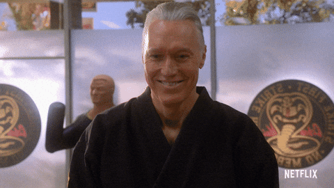 Cobra Kai GIF by NETFLIX - Find & Share on GIPHY