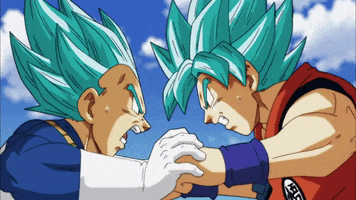 Dragon Ball Fighting GIF by Toei Animation