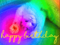 Happy Birthday Cat Gifs Get The Best Gif On Giphy Happy Birthday Cat Gifs Get The Best Gif On Giphy