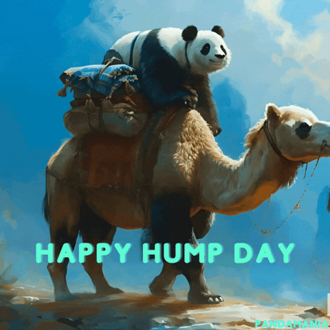 Happy Fun GIF by PandaMania