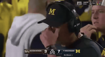 Michigan Wolverines GIF