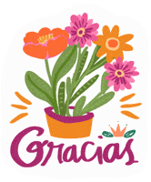 Gracias GIF