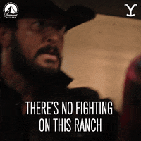 Paramount Network No Fighting GIF by Yellowstone