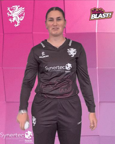 T20 Vitality Blast GIF by Somerset County Cricket Club