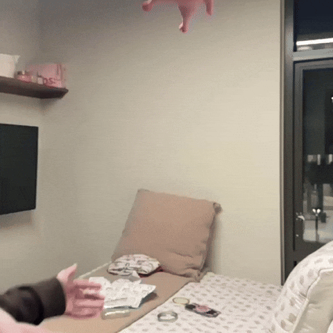 Punch Pig GIF
