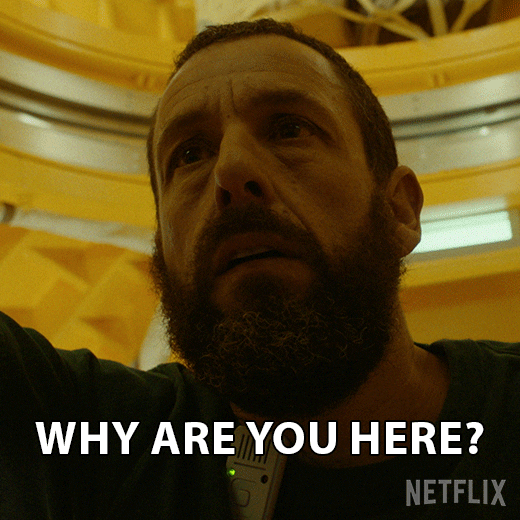 Why Are You Here Adam Sandler GIF by NETFLIX