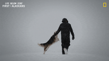 Happy Nat Geo GIF by National Geographic Channel