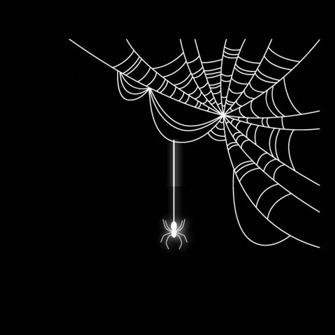 Spider Web Halloween GIF by cbdMD