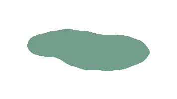 Sugar Cookies Sticker by The Cookie Boss