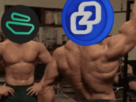 Crypto Gym GIF by Zano Project