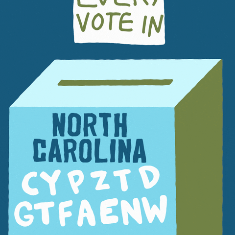Right To Vote North Carolina GIF by Creative Courage