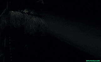 Godzilla GIF