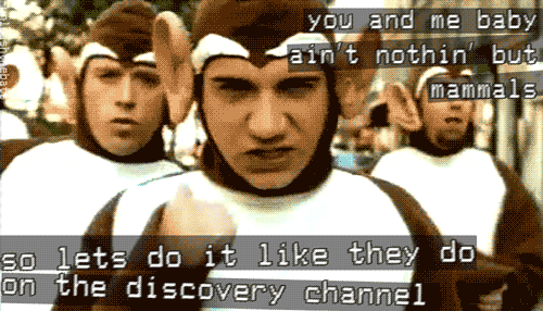 Bloodhound Gang Monkey GIF - Find & Share on GIPHY