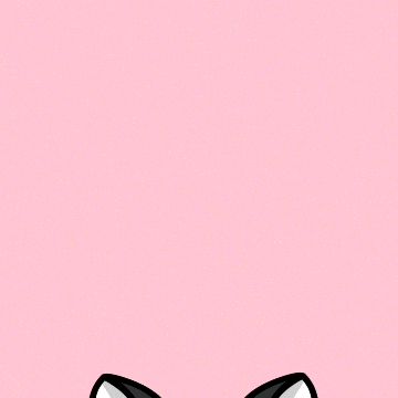 Cat GIF