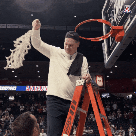 Head Coach Basketball GIF by Arizona Athletics
