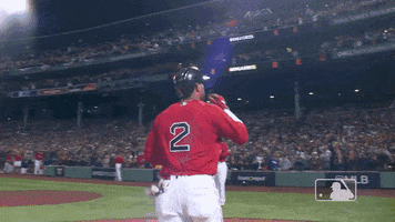 Boston Red Sox Celebration GIF by MLB