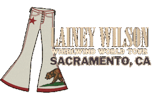 Wild Horses California Sticker by Lainey Wilson