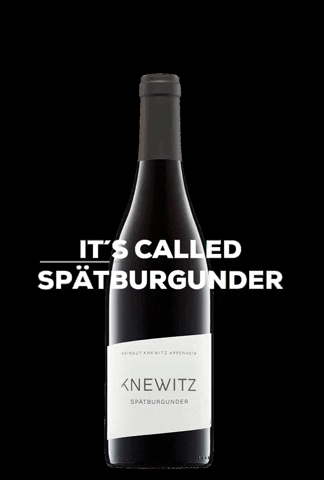 Weingut Knewitz GIF
