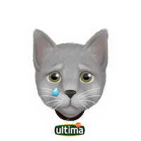 Ultimadeaffinity Sticker by Affinity