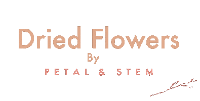 Stem Petal Sticker by Amina
