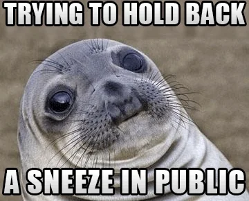 Hold Back Sneezing GIF